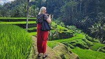 Ubud Scooter Tour An Adventure Beyond the Ordinary