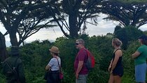 12 Days Tanzania wildlife with Mt Kilimanjaro and Zanzibar beach