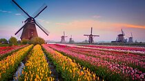 Direct private transfer from Amsterdam to Kinderdijk