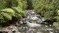 Pance Trail: Experience Waterfalls, Wildlife, and Scenic Views