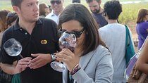 From Valencia: Vineyard Tour with Local Wine Tasting & Appetizer