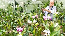 Finca la Romelia Orchids and Birding