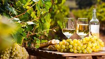 Provencal Market and Wine Tasting Full Day Shared Tour from Nice