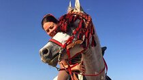 Private Horse Riding Tour in Luxor West Bank