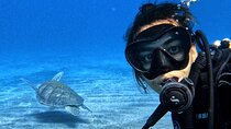 Open Water Diving Course in Tenerife 