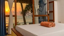 11 Day Tarangire, Serengeti, Ngorongoro and Zanzibar