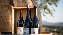 Winery visit / tasting in the vineyards, Mas des Escarades