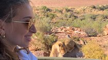 6 Days Garden Route Experience First Splendor & wonders of region