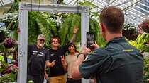 Melbourne City Highlights Small Group Tour