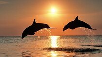 Lovina Watching Dolphin with Sunrise-Snorkeling-Waterfall Tour