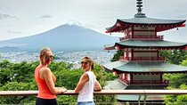 Mount Fuji Full Day Customized Private Tour with English Guide