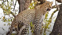 4 Day Chobe Safari Park and Victoria Falls Combo