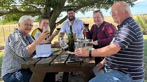 Argentina's Mendoza Malbec Wine Trip - 3 Full Days! Private