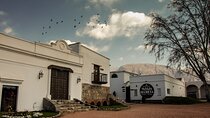 Salta, Cafayate Wine Experience - 3 Full Days! Private