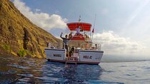 Private & Custom - Family Fish and Snorkel Charter