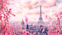 Private direct transfer from Amsterdam to Paris