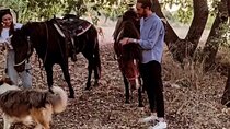Hiking and horseback riding adventures