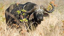 3 Day Victoria Falls Camping Safari