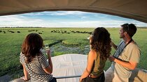 Chobe Day Trip From Victoria Falls Zimbabwe