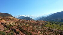 Atlas Mountains and Agafay Desert Tour with Quad and Camel Rides