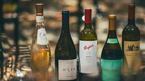 Wine Tasting Experience 