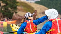 Sea Kayaking Lyttelton Harbour from Christchurch (Private Tour)