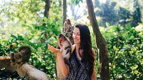 Best of Bali Tour - All Inclusive