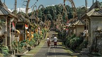 Penglipuran Traditional Village Tour with Swing, Rice Terrace, and Temple