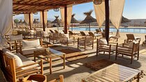Agafay Desert Quad & Camel Rides, Ourika Valley & Dinner Show
