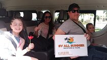 Private Airport Transfer to/from Punta Cana Airport and La Romana