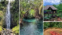 Waterfall, coffee tour & hot springs - lunch and drinks included 