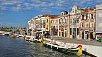 Private Tour in Aveiro, Birds and Vista Alegre