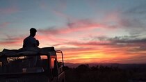 Desert Jeep Tour Adventure in Hurghada with Stargazing and Dinner
