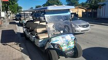 Lil Bahamas Coconut Grove Tour