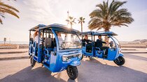 Express Tour 40 minutes in Malaga Mirador Gibralfaro and Photography