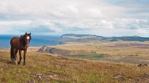 World's End: Private Easter Island hike to remote volcano Poike