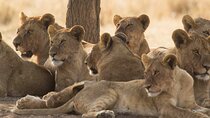 The Trifecta Lake Manyara Tarangire and Ngorongoro Crater