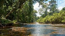 2D1N Taman Negara Explorer Tour from Kuala Lumpur