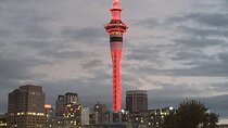 Auckland City Halfday Tour 