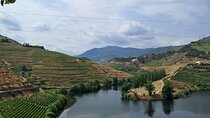 Douro Valley: Premium Private Tour (All Inclusive)