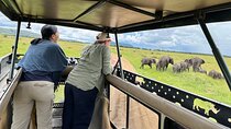 Day Tour to Amboseli National Park with Park Entrance Fees