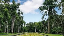Private North Day Tour: Botanical Garden, Sugar Museum, 