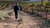 Ribera del Duero Wine Tour: Two Wineries & Tastings