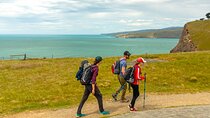 Explore Godley Head, Lyttelton & Christchurch (Small Group Tour)