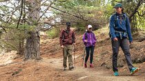 Off The Beaten Track- Packhorse Hut Guided Walk (Private Tour)
