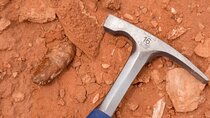 Sahara Desert Fossil Hunting Experience 