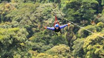 Monteverde Cloud Forest privateTour