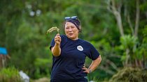 Bali Female Driver : the wonderful journey of Experience