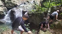 Quashie River Hiking in Cockpit Country Experience
