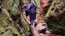 Explore the wild side of Kirstenbosch Gardens